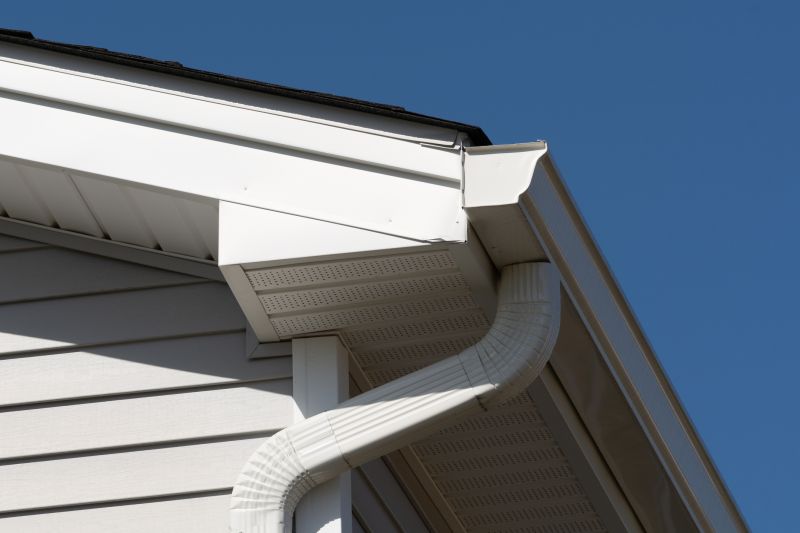 Exterior Window Trim Service in Overland Park, KS