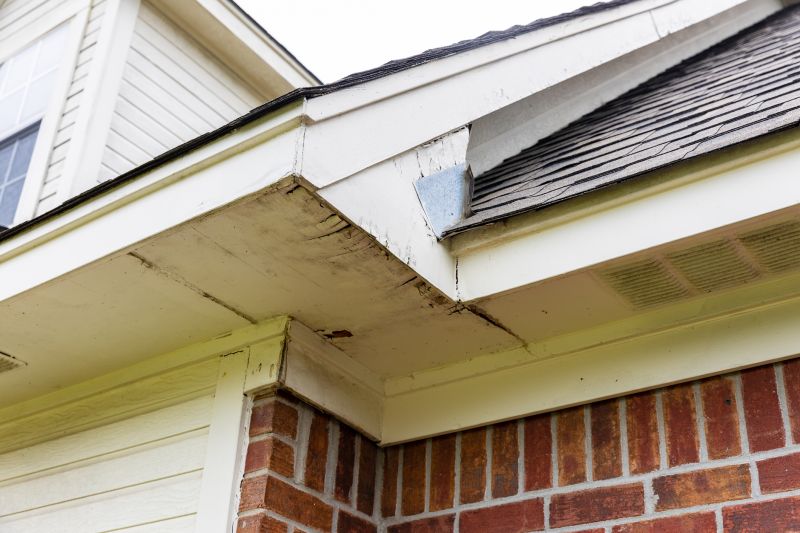 Metal Fascia Repair in Overland Park, KS